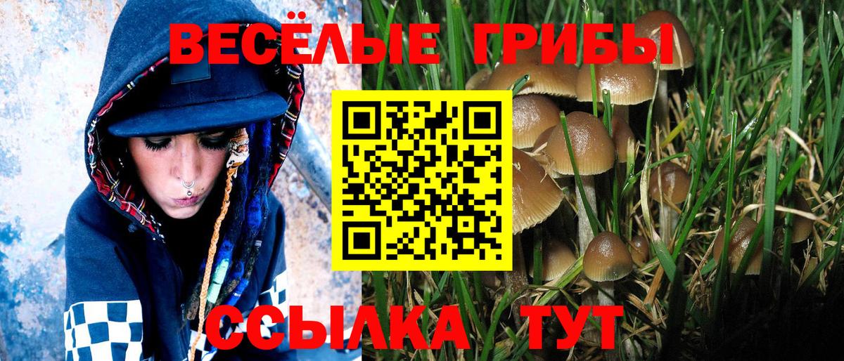 закладка  Галлюциногенные грибы Cubensis  Галлюциногенные грибы Magic Shrooms  Вход с VPN  Ханты-Мансийск 